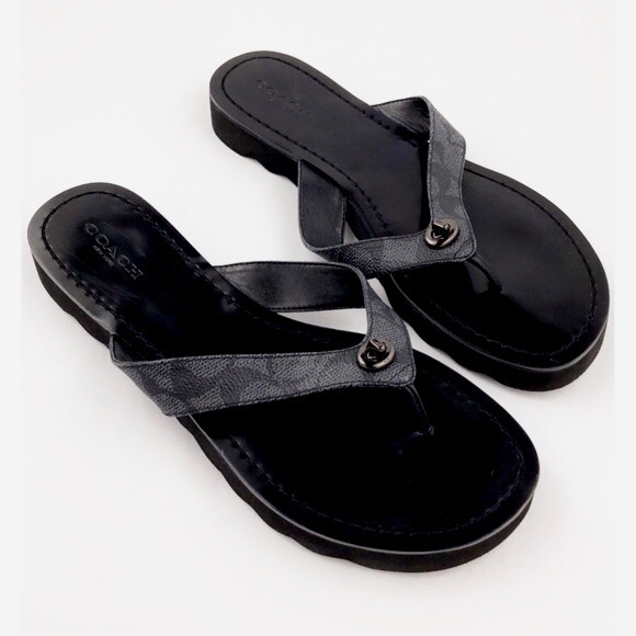 coach shelly flip flops